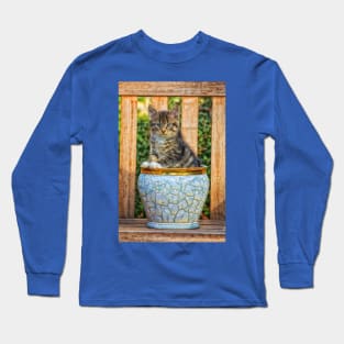 Pot Of Baby Kitten Long Sleeve T-Shirt